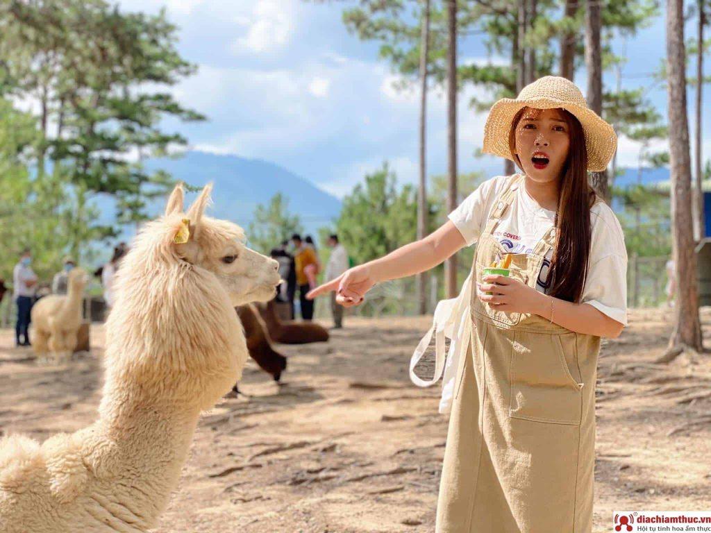 gia ve zoodoo da lat