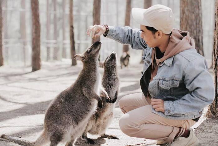 so thu zoodoo da lat