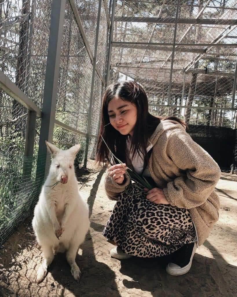 gia ve zoodoo da lat