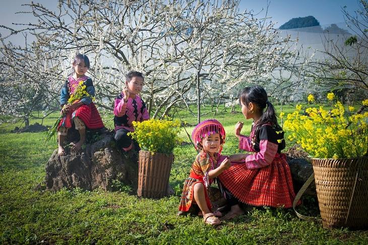 Tour Hà Nội - Mộc Châu 2 ngày 1 đêm